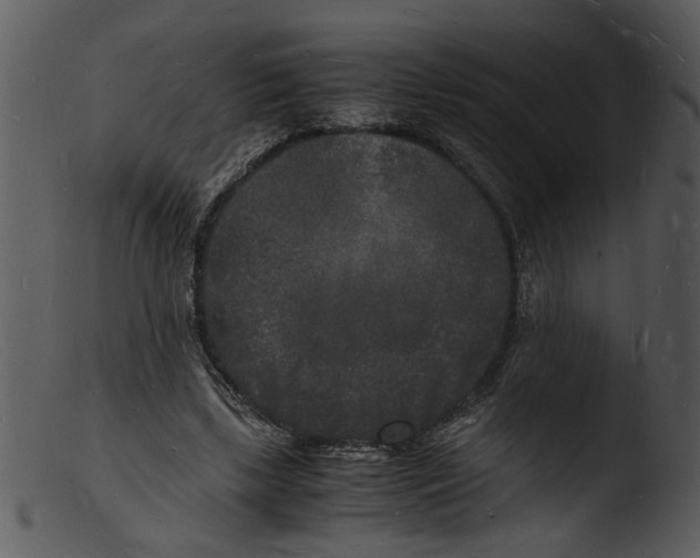 X0000103290443200809261253