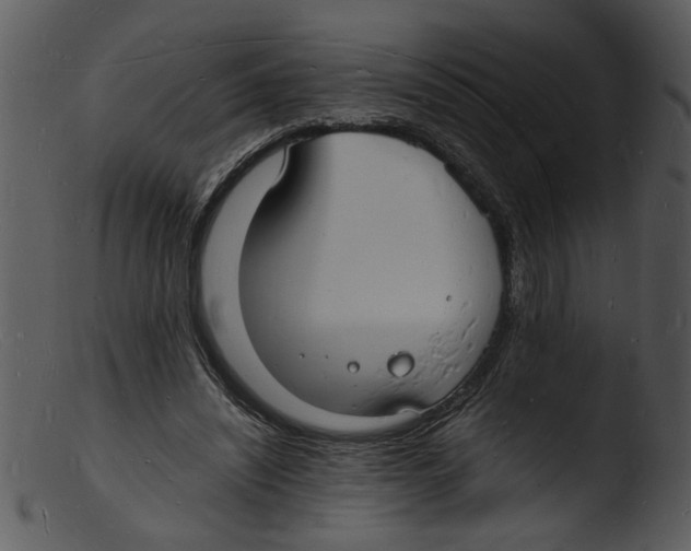 X0000103290444200809261253