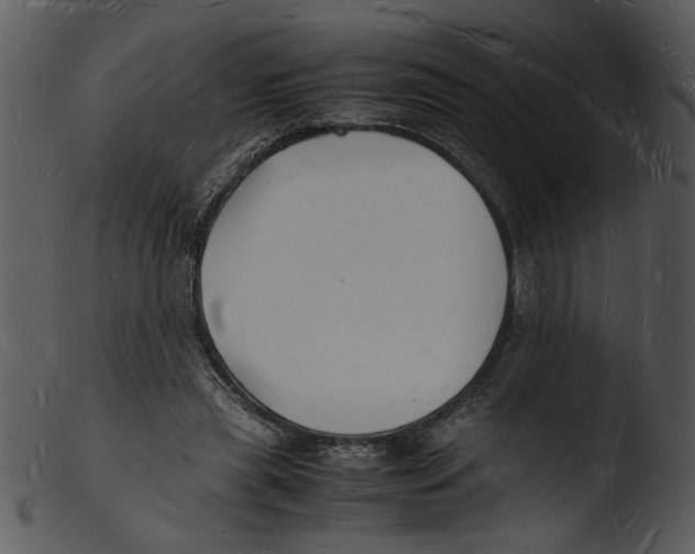 X0000103290445200809261253
