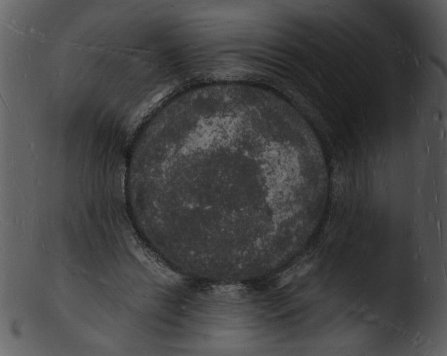 X0000103290446200809261253
