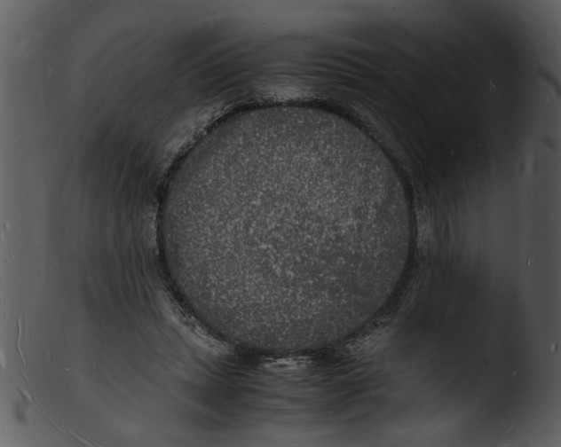 X0000103290447200809261253