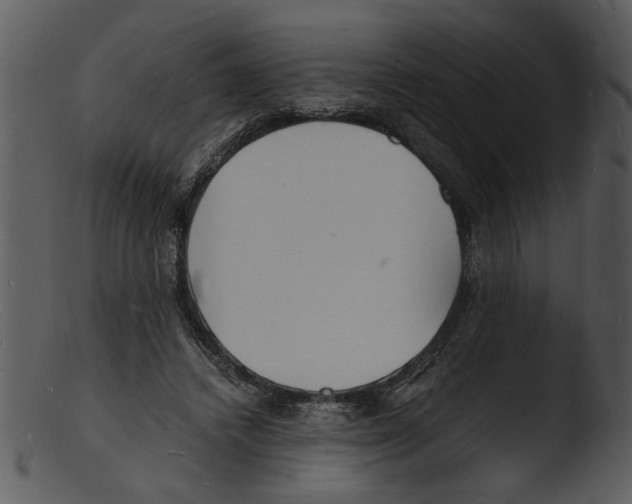 X0000103290448200809261253