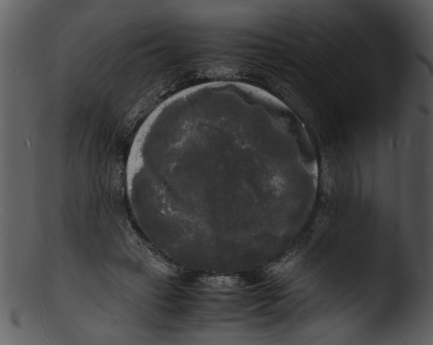 X0000103290449200809261253