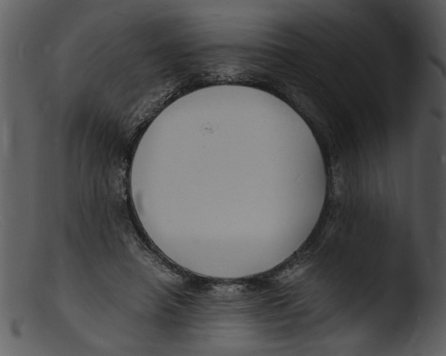 X0000103290450200809261253