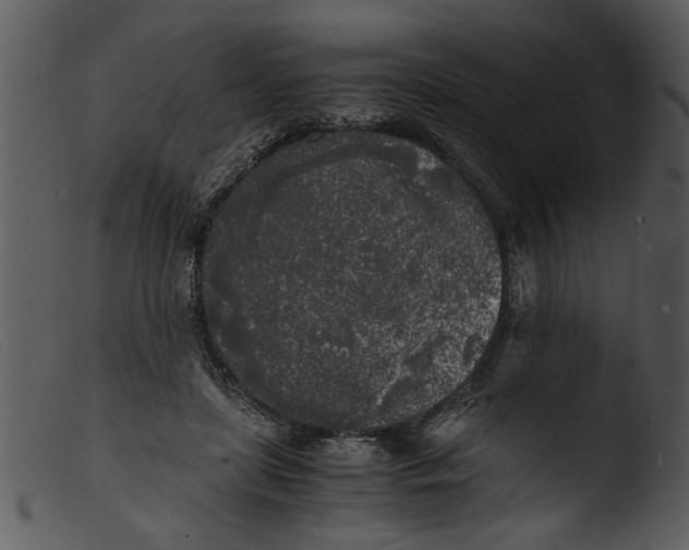 X0000103290451200809261253
