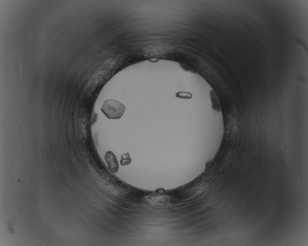 X0000103290452200809261253