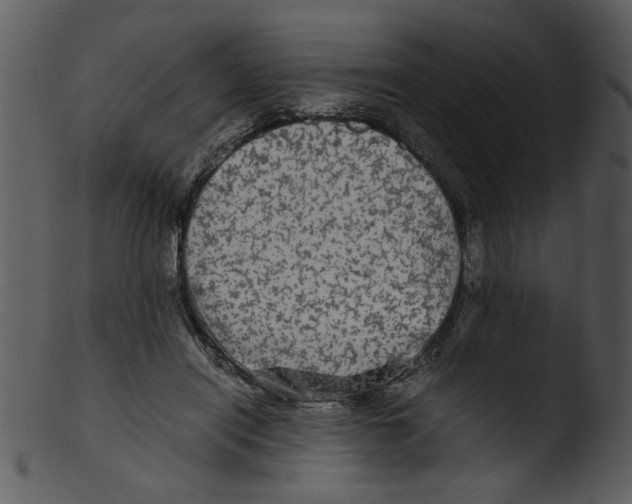 X0000103290454200809261253