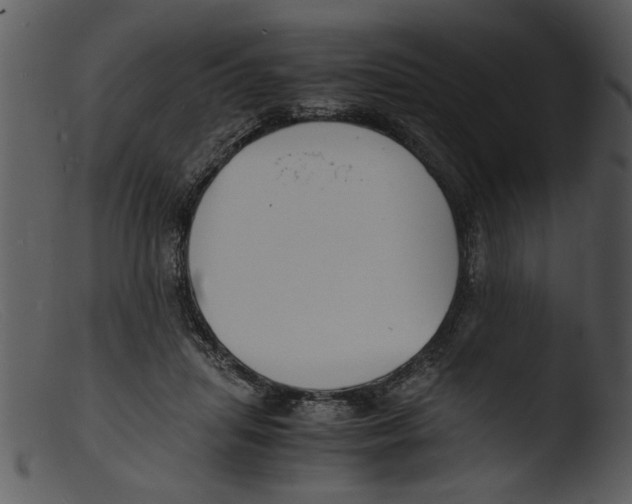 X0000103290455200809261253