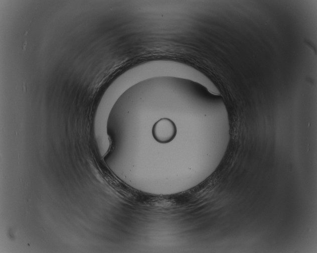 X0000103290456200809261253