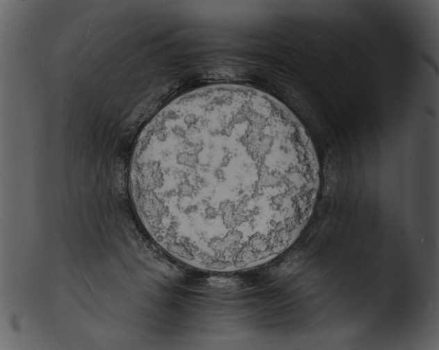 X0000103290457200809261253