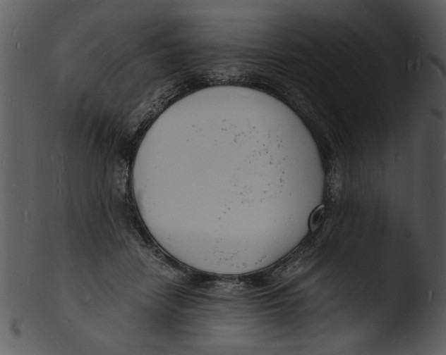 X0000103290458200809261253