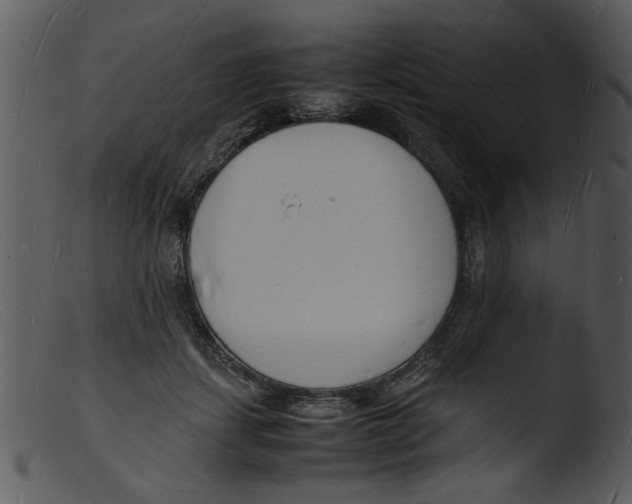 X0000103290459200809261253