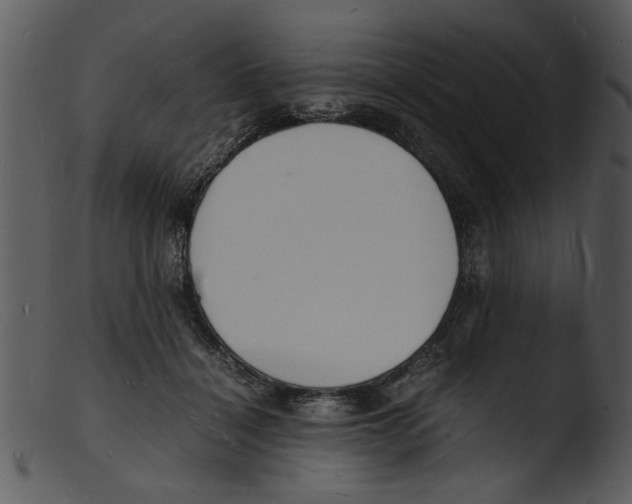 X0000103290460200809261253