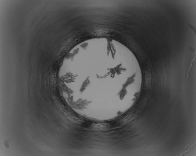 X0000103290461200809261253