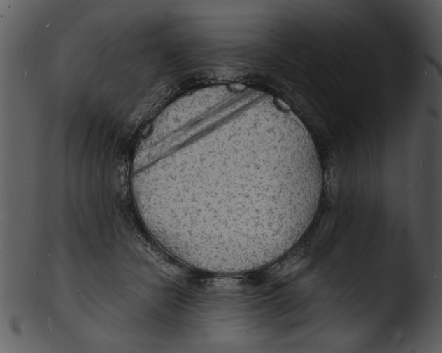 X0000103290462200809261253