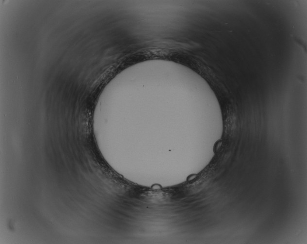 X0000103290464200809261253