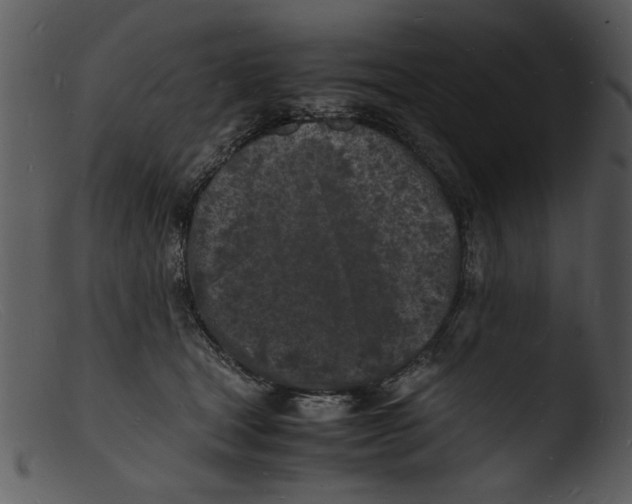 X0000103290465200809261253