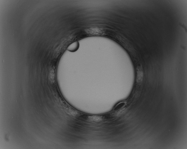 X0000103290469200809261253