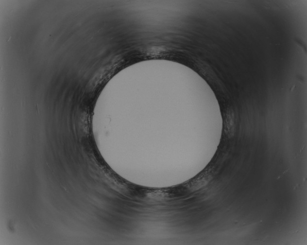 X0000103290470200809261253