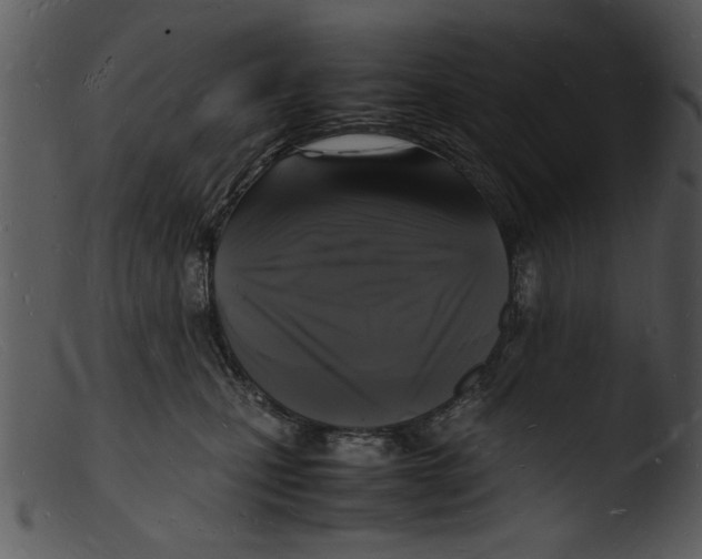 X0000103290471200809261253