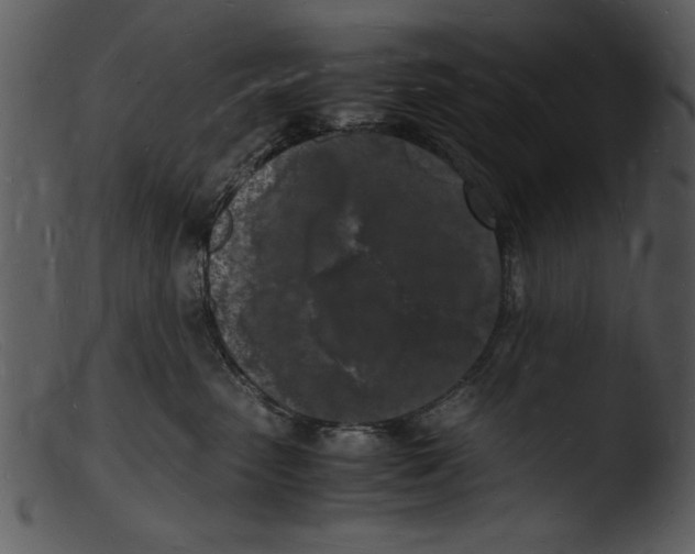X0000103290475200809261253