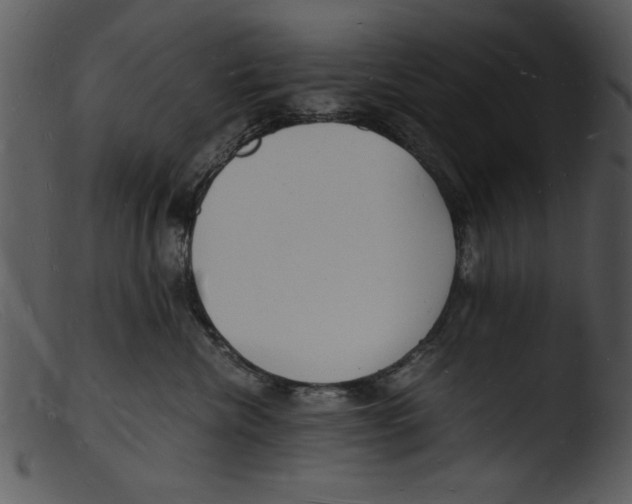 X0000103290476200809261253