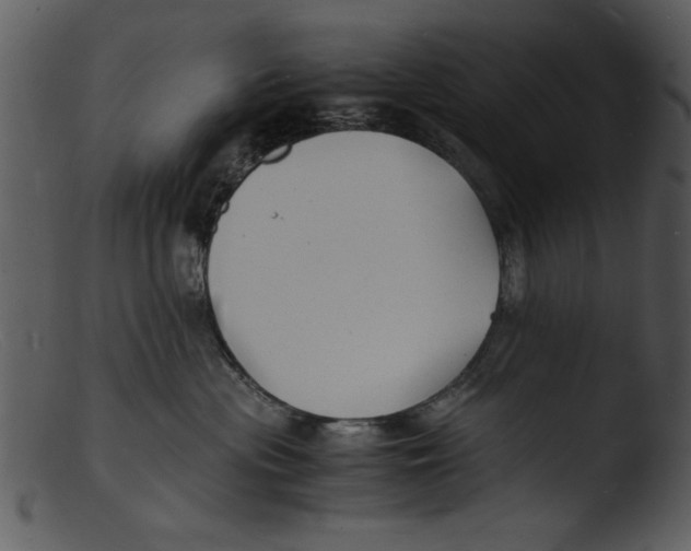 X0000103290477200809261254