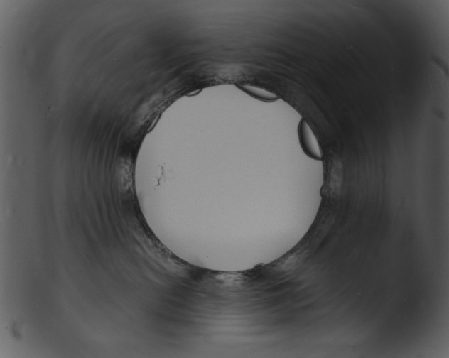 X0000103290478200809261254