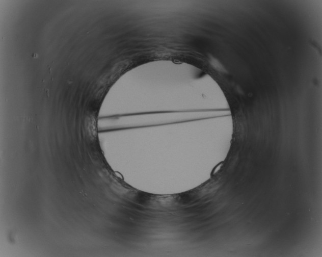 X0000103290479200809261254