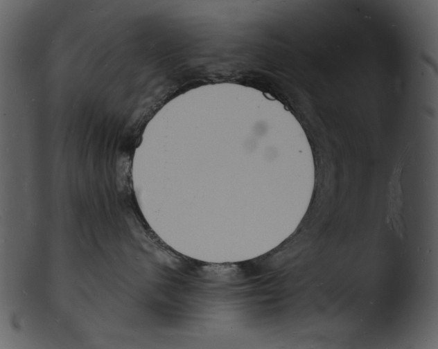 X0000103290480200809261254