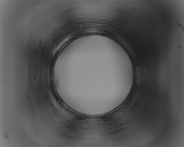 X0000103290482200809261253