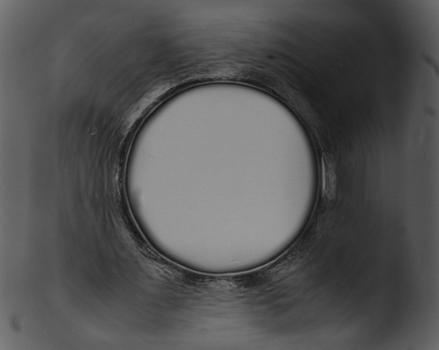 X0000103290483200809261253