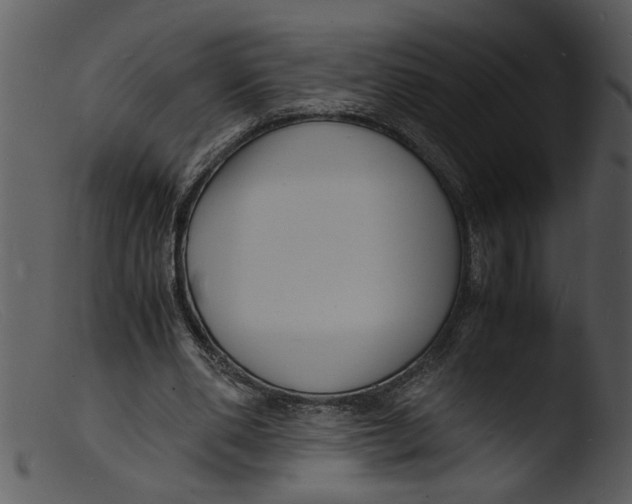 X0000103290486200809261253
