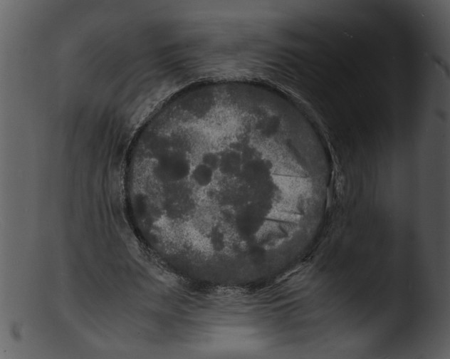X0000103290487200809261253
