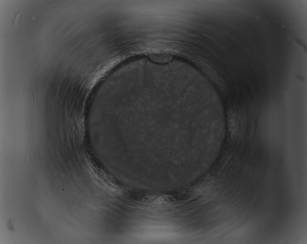 X0000103290488200809261253