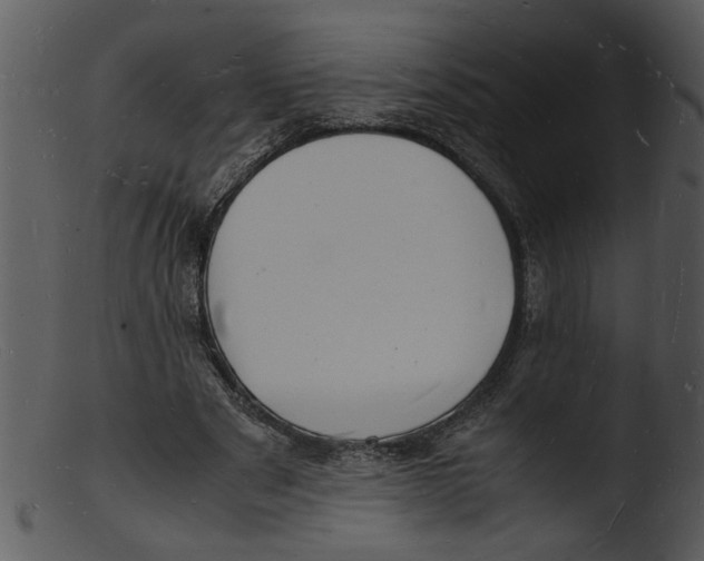 X0000103290489200809261253