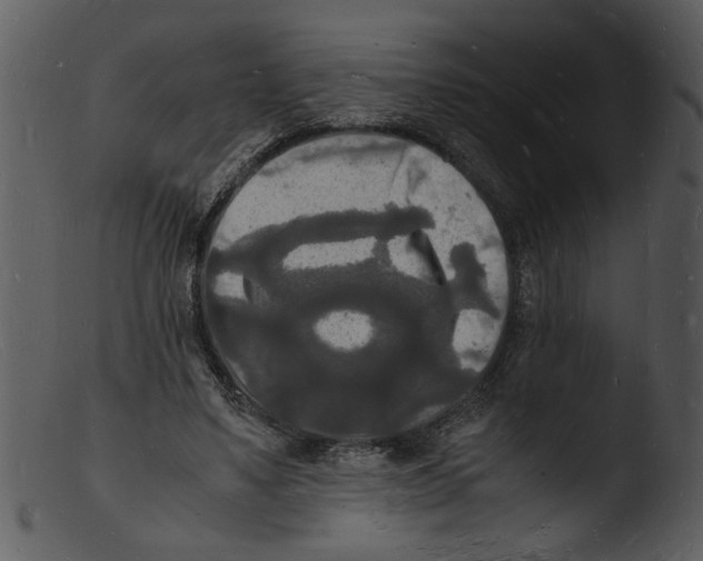 X0000103290491200809261253
