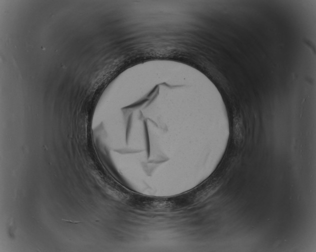 X0000103290493200809261253