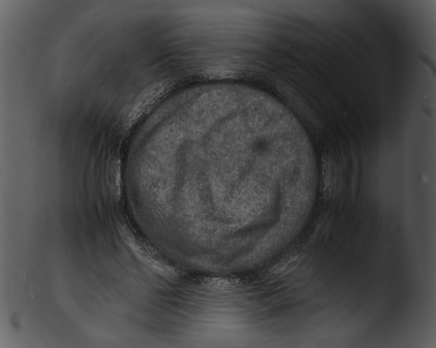 X0000103290494200809261253