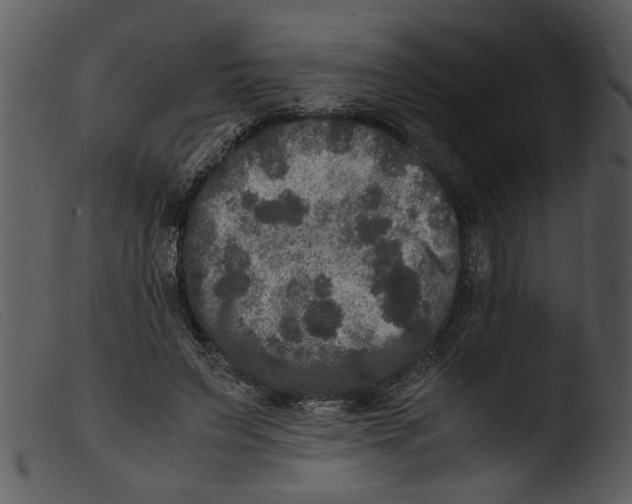 X0000103290495200809261253