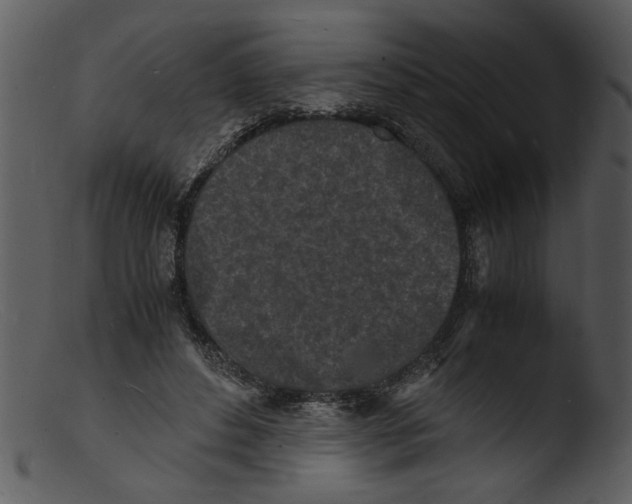 X0000103290496200809261253
