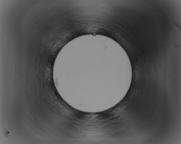 X0000103290497200809261253