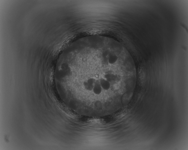 X0000103290499200809261253