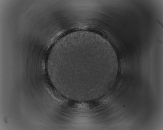 X0000103290500200809261253