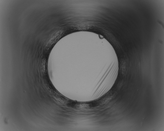 X0000103290501200809261253