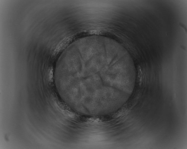 X0000103290502200809261253