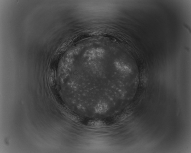 X0000103290503200809261253