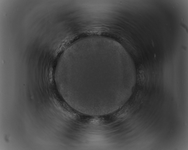 X0000103290504200809261253