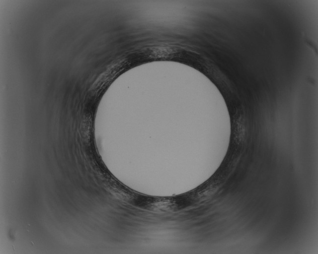 X0000103290505200809261253
