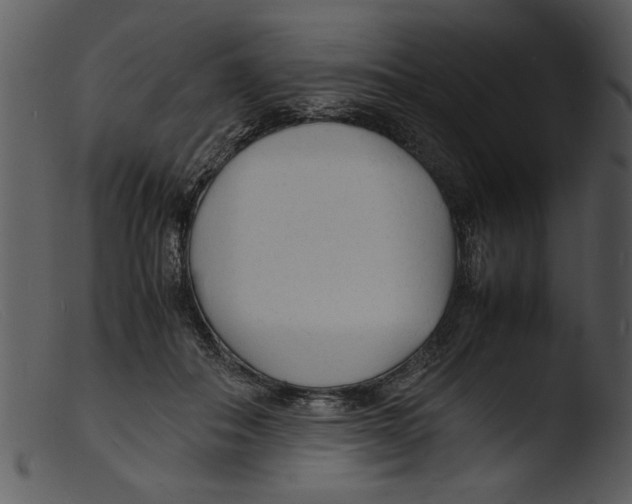 X0000103290506200809261253